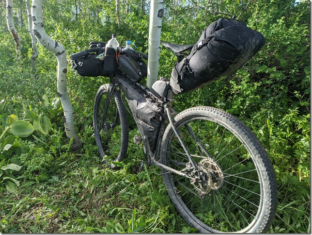 IMG_20200706_074148[1]