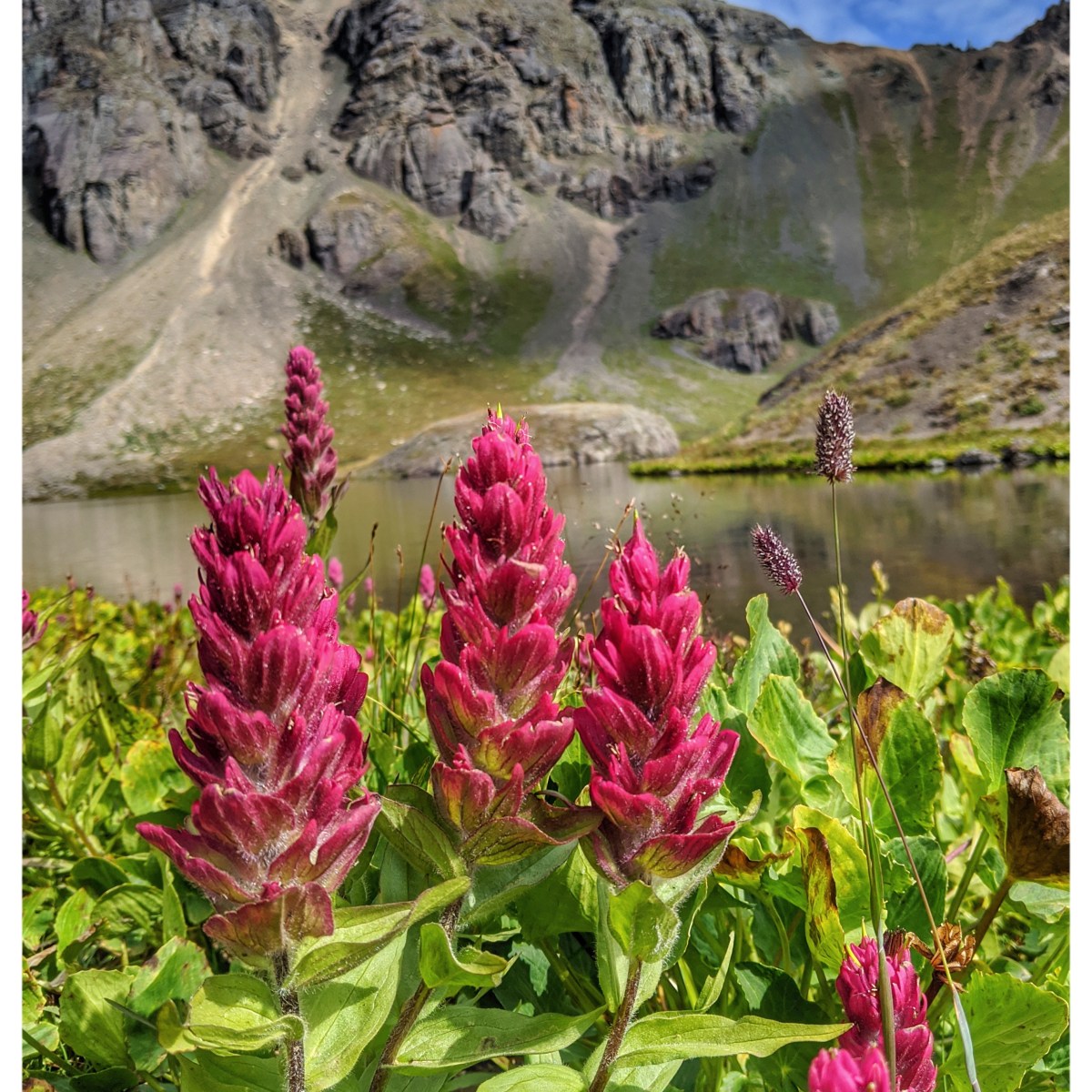 Mineral Creek Road – Vanlife in Silverton&nbsp;CO
