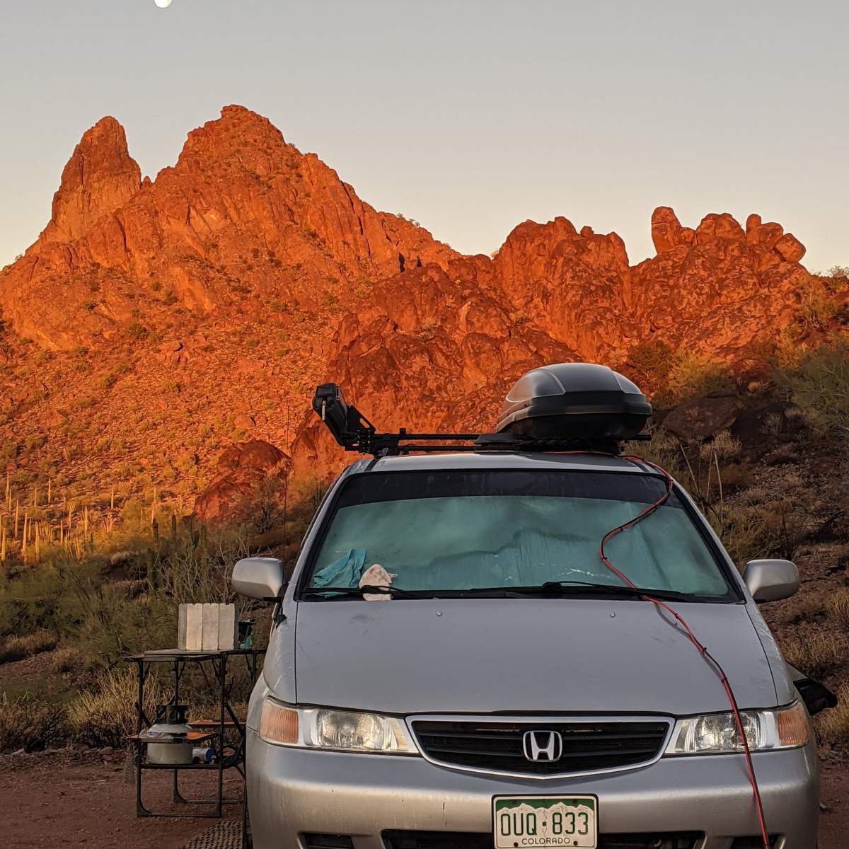 Land of the Giant Cacti, Ajo&nbsp;Arizona