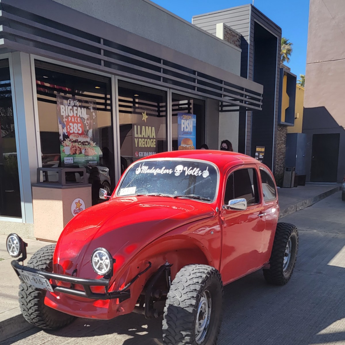 A Post Decidated to the Dogs and VW Bugs of Nogales&nbsp;Mexico